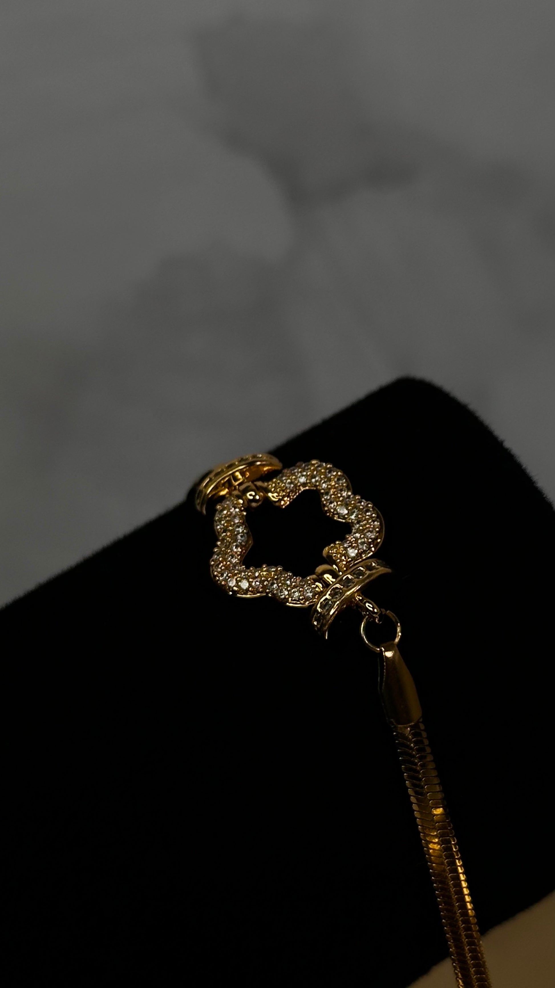 Snake chain shiny Bracelet - Ewaronkes Jewels