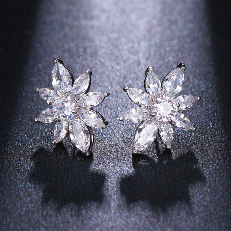 Zicornia studded earrings