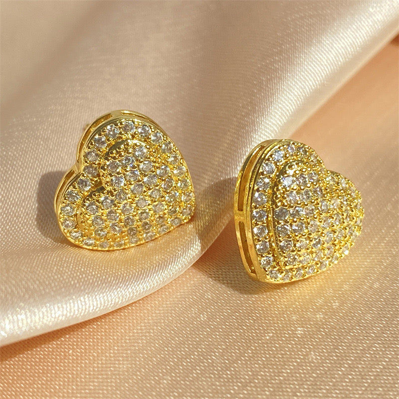 Zicornia studded earrings