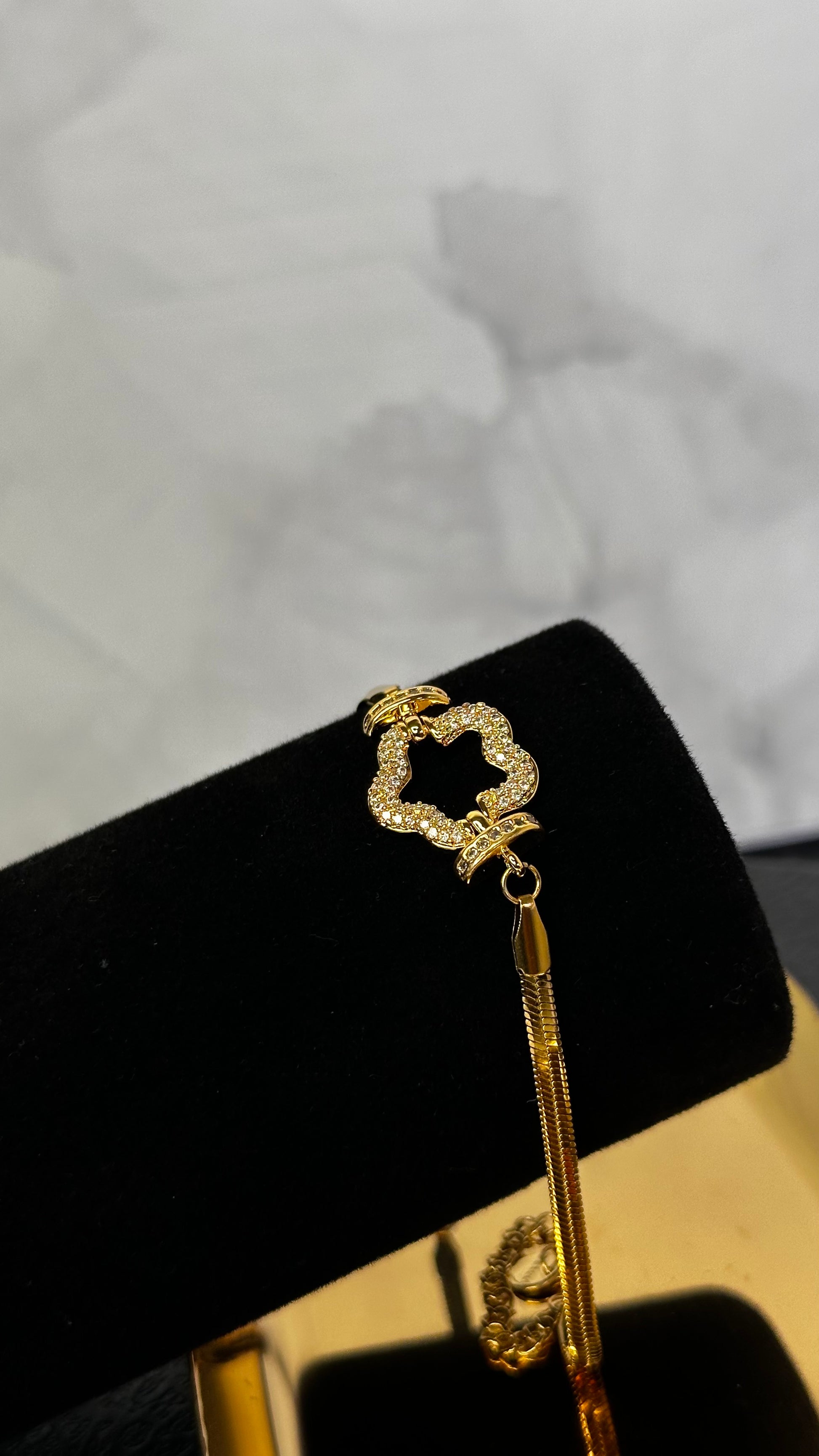 Snake chain shiny Bracelet - Ewaronkes Jewels