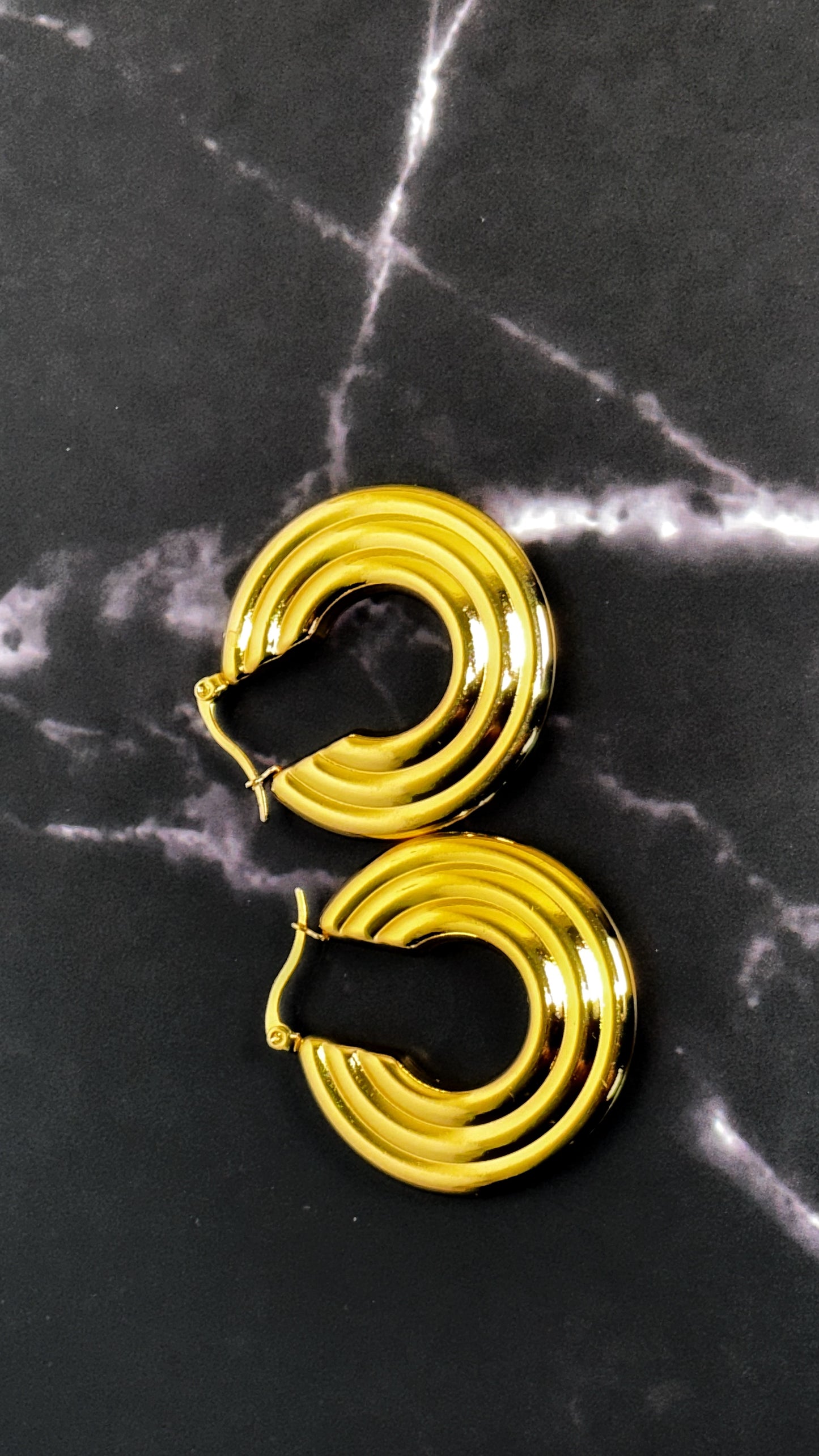 Cece Hoop Earrings - Ewaronkes Jewels